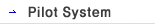 Dilot System
